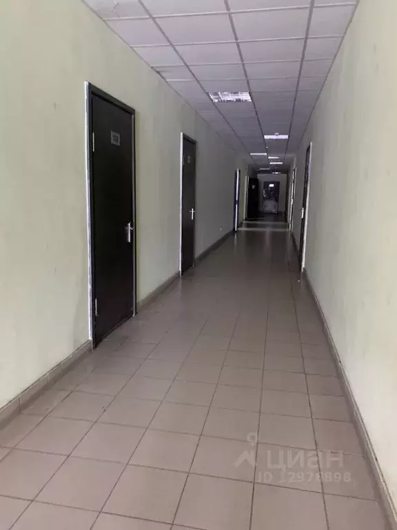 Помещение свободного назначения в Тульская область, Тула Филимоновская ... - Фото 1