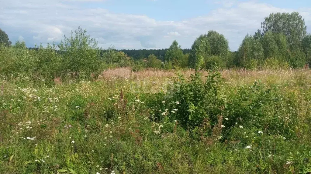 Участок в Свердловская область, Нижний Тагил ул. Большая Кольцевая ... - Фото 1