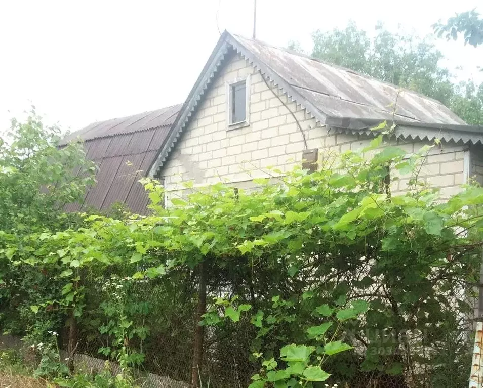 Дом в Белгородская область, Белгородский муниципальный округ, ... - Фото 2