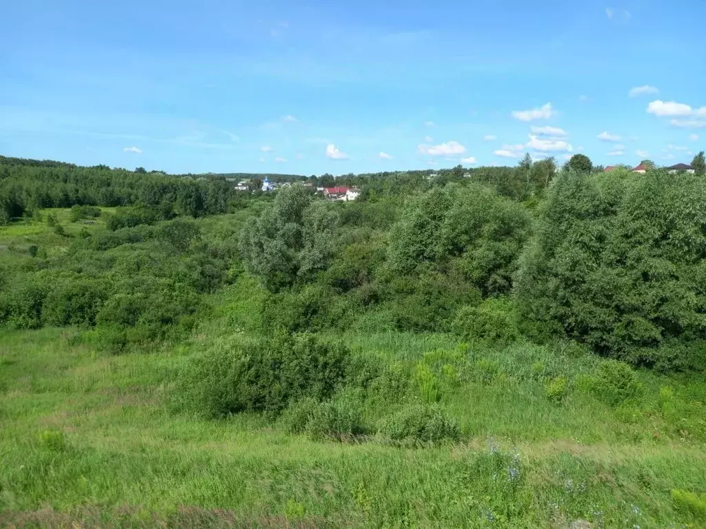 Участок в Нижегородская область, Богородский муниципальный округ, с. ... - Фото 2