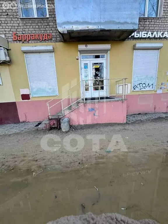 Торговая площадь (42.5 м) - Фото 2
