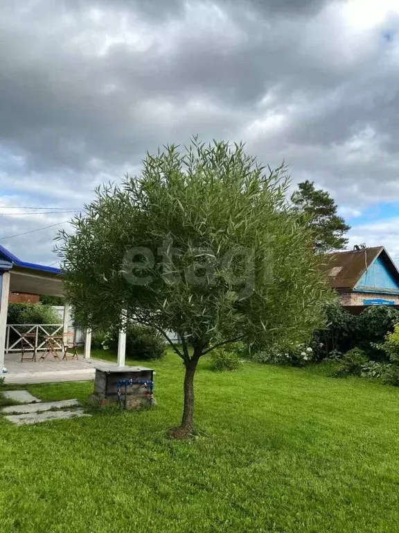 Дом в Тюменская область, Тюмень Строитель СНТ, ул. Роз (60 м) - Фото 0