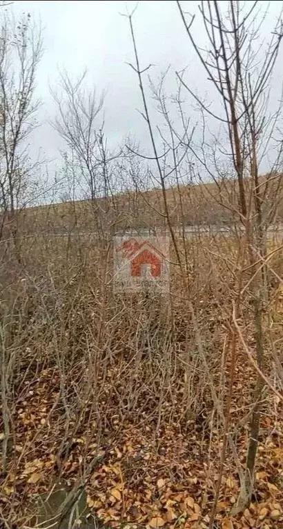 Участок в Самарская область, Волжский район, Лопатино с/пос, пос. ... - Фото 2