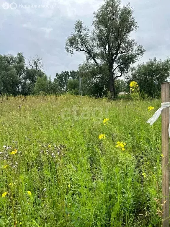 Участок в село Есаулово, микрорайон Лазурные Берега (6 м) - Фото 2