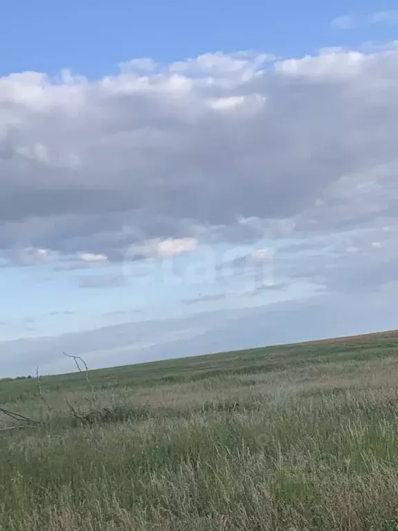 Участок в Калмыкия, Целинный район, с. Троицкое ул. Ойратская (6.0 ... - Фото 1