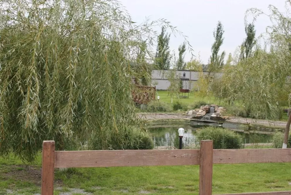 Участок в хутор Бурковский, СНТ Дубрава, улица Роз (12 м) - Фото 1