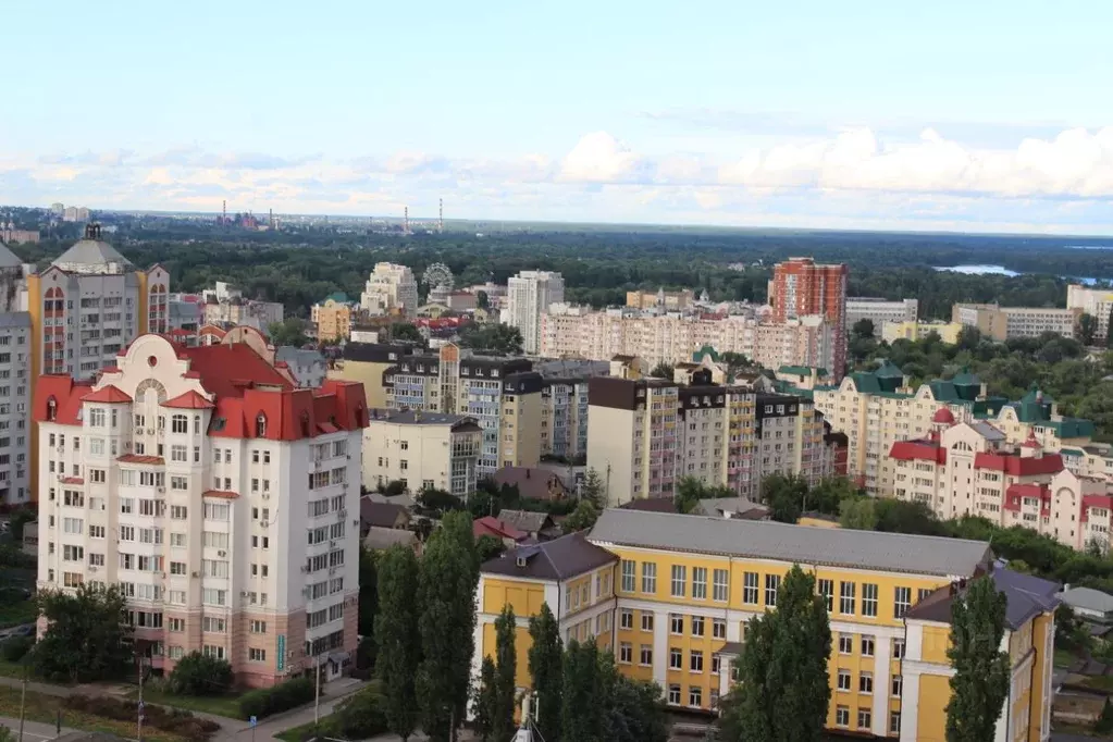 4-к кв. Липецкая область, Липецк ул. М.И. Неделина, 15В (124.3 м) - Фото 2