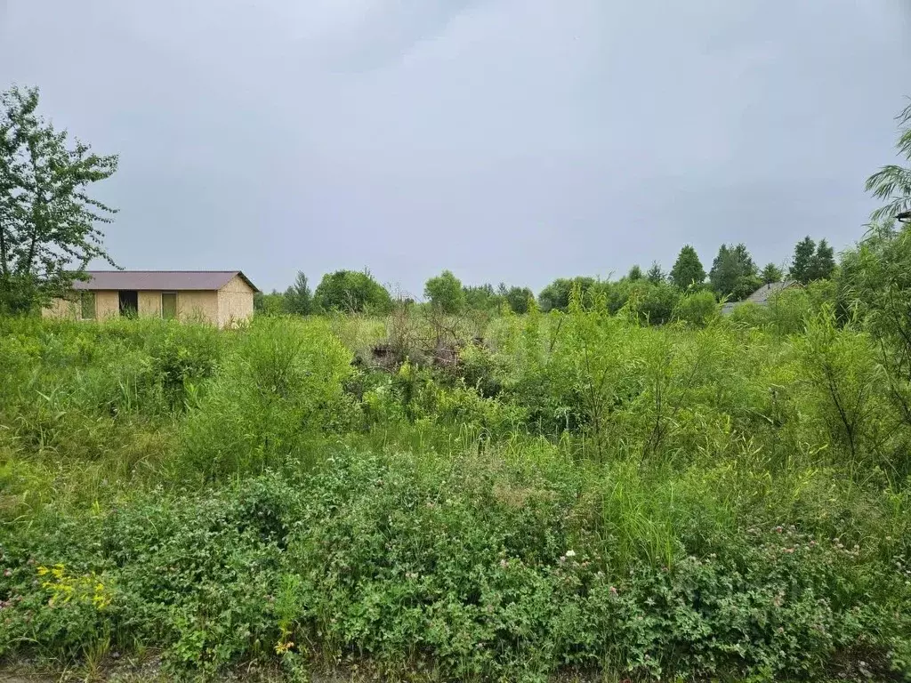 Участок в Хабаровский край, Хабаровский район, с. Мирное, Солнечная ... - Фото 1