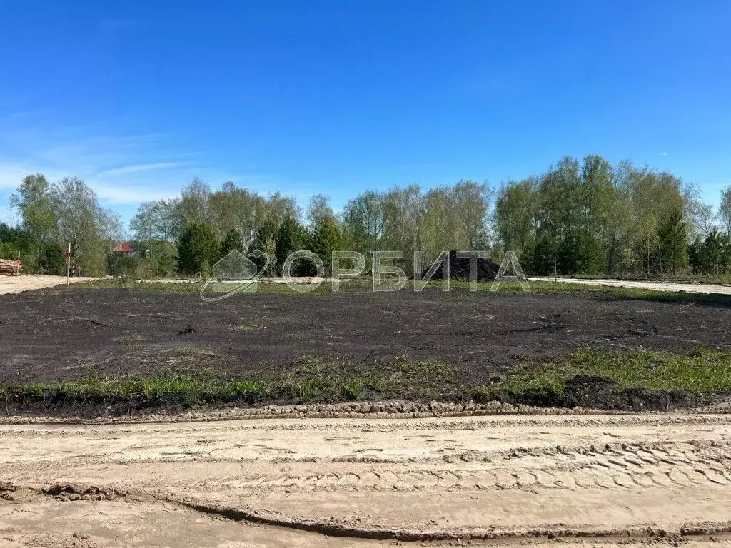 Участок в Тюменская область, Тюменский район, Новокаменский кп ул. ... - Фото 2