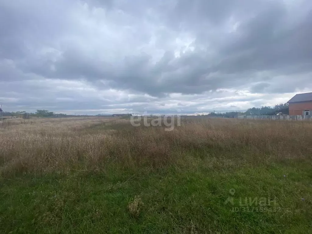 Участок в Краснодарский край, Ейский район, Кухаривское с/пос, с. ... - Фото 1