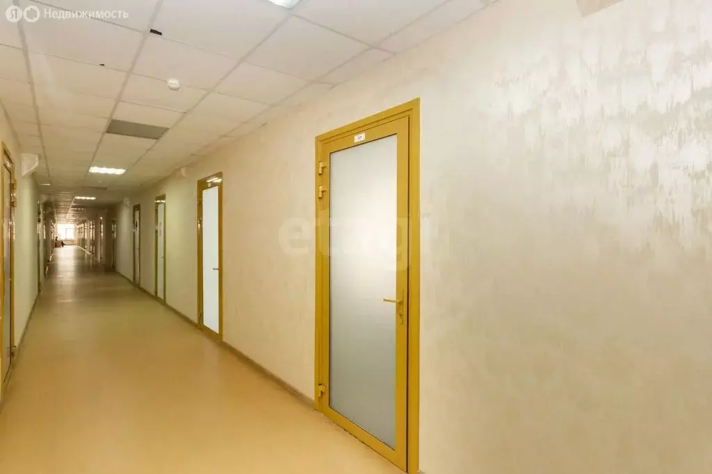 Офис (18.4 м) - Фото 2