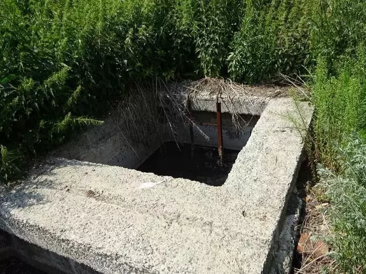 Помещение свободного назначения в Челябинская область, Сосновский ... - Фото 1