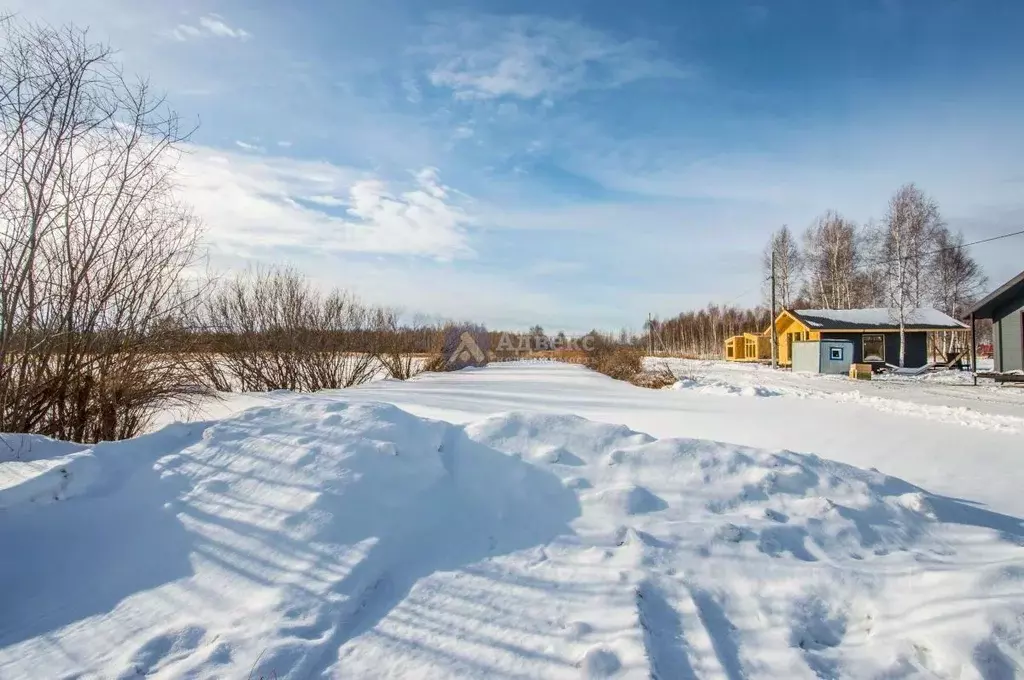 Участок в Тюменская область, Нижнетавдинский район, Тюневское с/пос, 7 ... - Фото 2