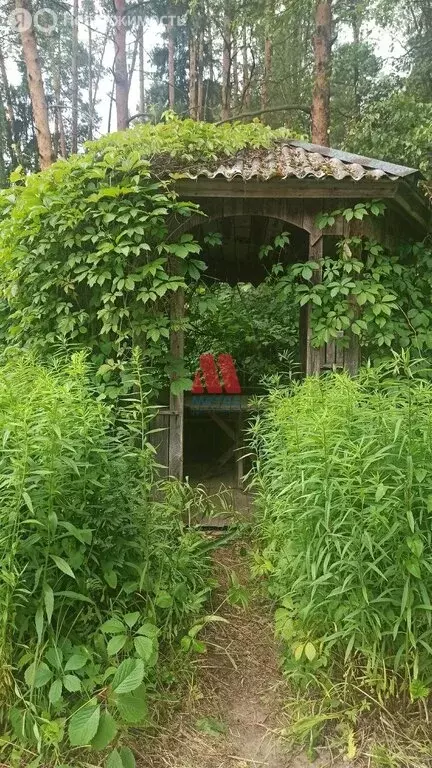 Дом в Ярославский муниципальный округ, СНТ Лесное (50 м) - Фото 2