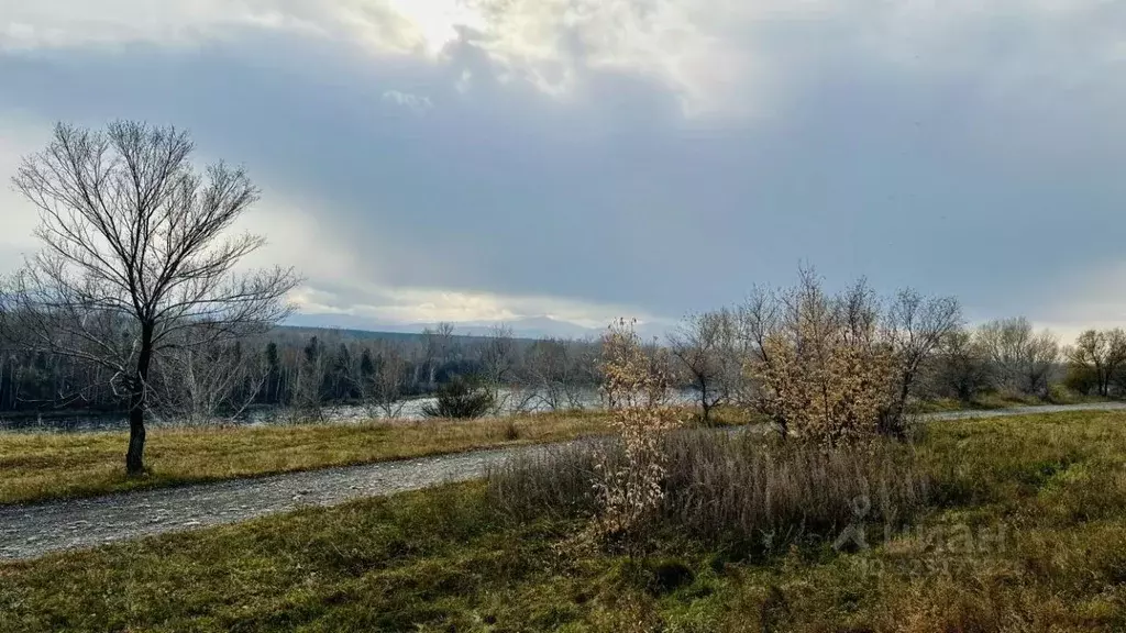 Участок в Хакасия, Бейский район, с. Новоенисейка ул. Лебедева (6.0 ... - Фото 1