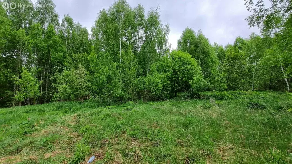 Участок в Нижегородская область, муниципальный округ Бор, деревня ... - Фото 1