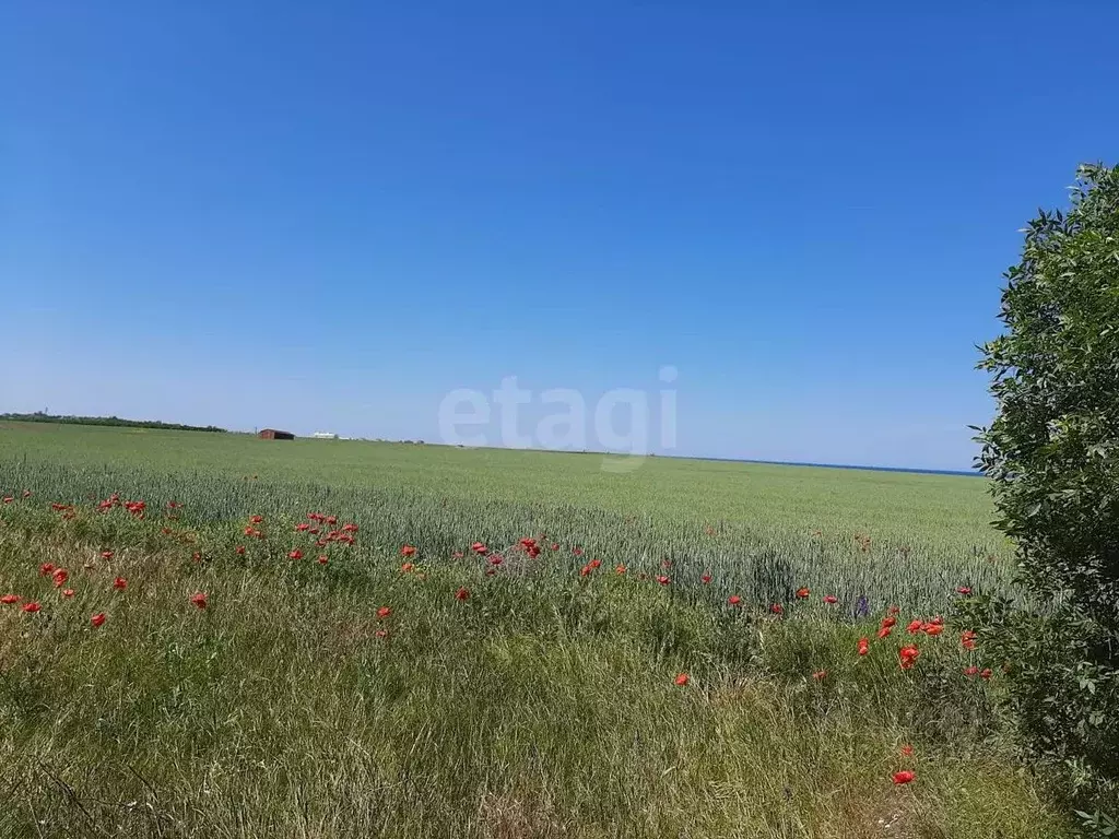 Участок в Крым, Бахчисарайский район, Песчановское с/пос, с. Береговое ... - Фото 0