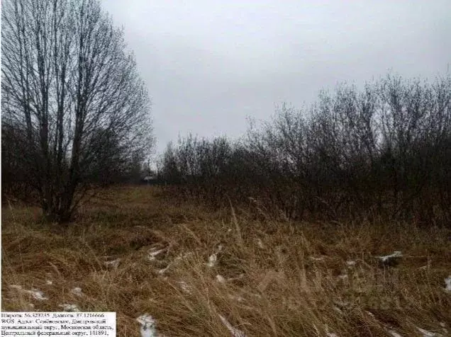 Участок в Московская область, Дмитровский муниципальный округ, с. ... - Фото 1