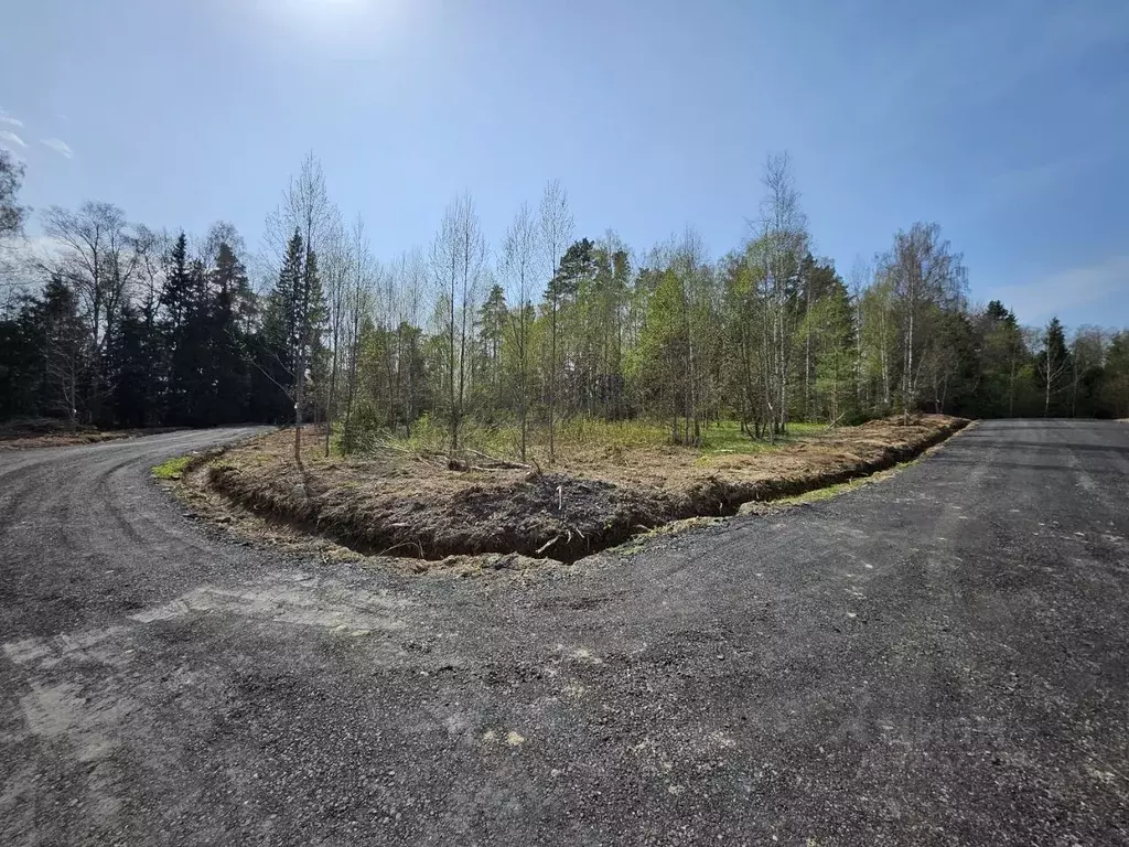 Участок в Московская область, Мытищи городской округ, д. Хлябово  (6.2 ... - Фото 1