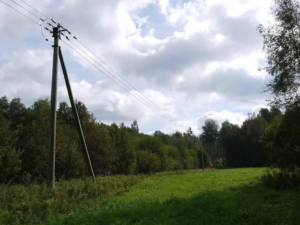 Красносельское сельское поселение ленинградская область