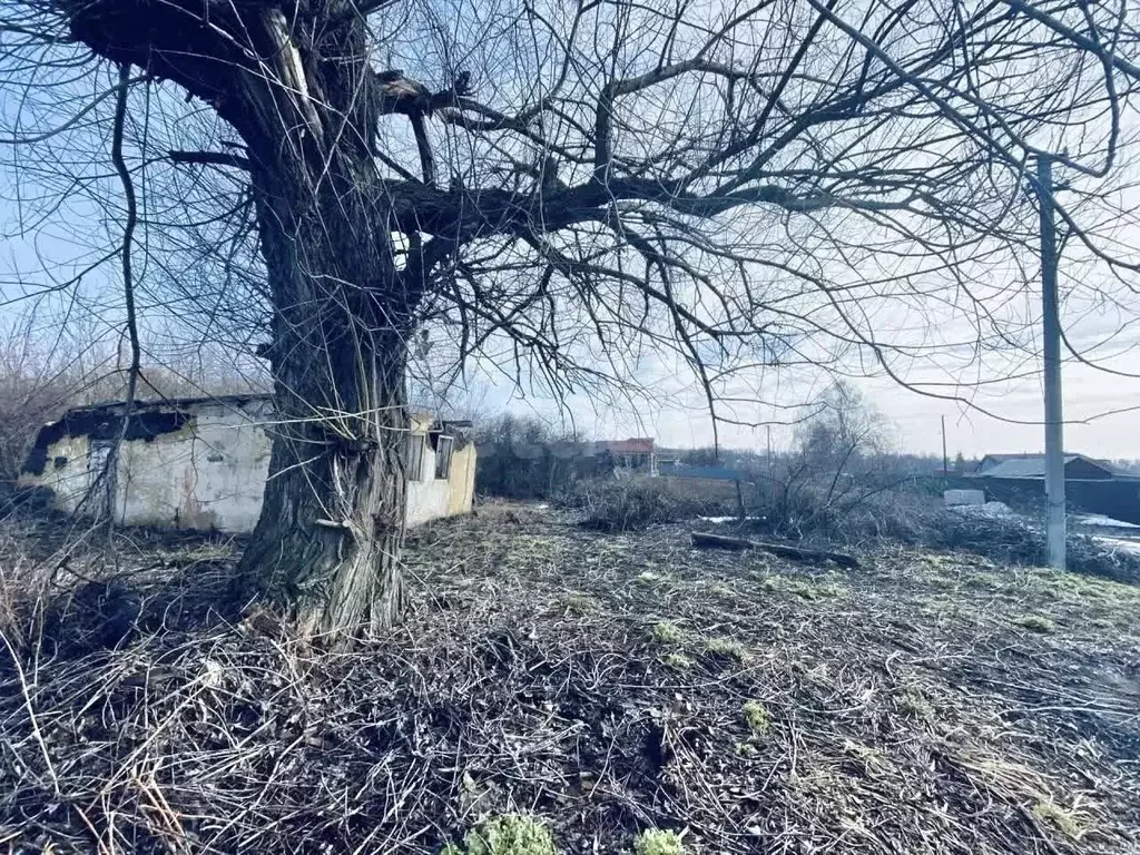Участок в Мордовия, Лямбирский район, Пензятское с/пос, д. Щербаково ... - Фото 1