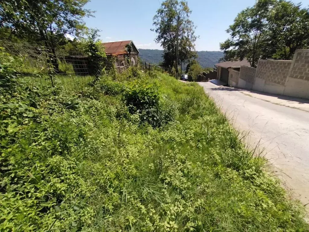 Участок в Краснодарский край, Сочи городской округ, с. Высокое, Дружба ... - Фото 1