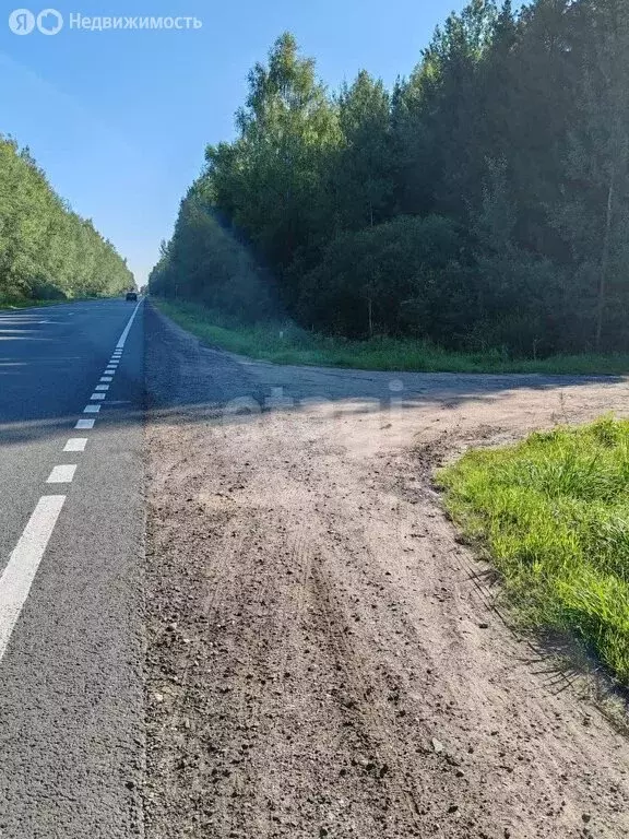 Участок в Тверская область, Конаковский муниципальный округ, деревня ... - Фото 1