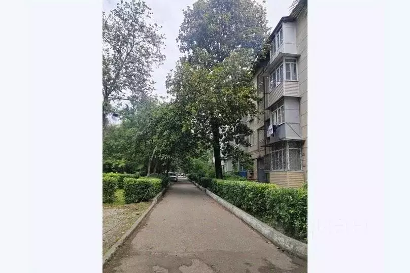1-к кв. Краснодарский край, Сочи ул. Гагарина, 50 (10.0 м) - Фото 0