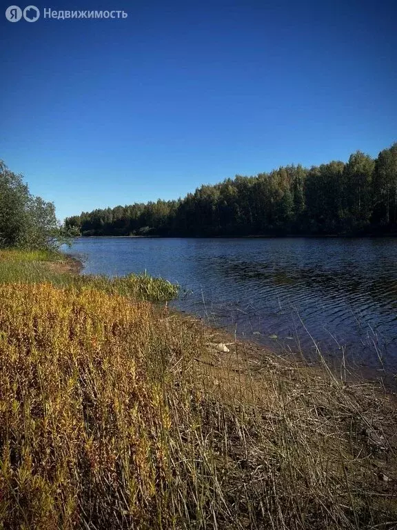 дом в новгородская область, маловишерское городское поселение, деревня . - Фото 0