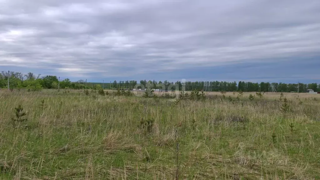 Участок в Ульяновская область, Ульяновск городской округ, с. Луговое ... - Фото 1
