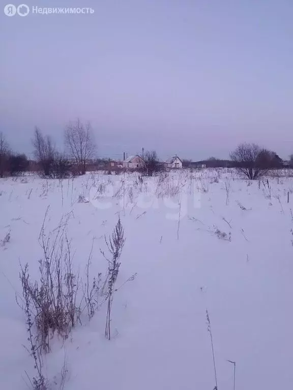 Участок в деревня Бородинка, Центральная улица (5.01 м) - Фото 2