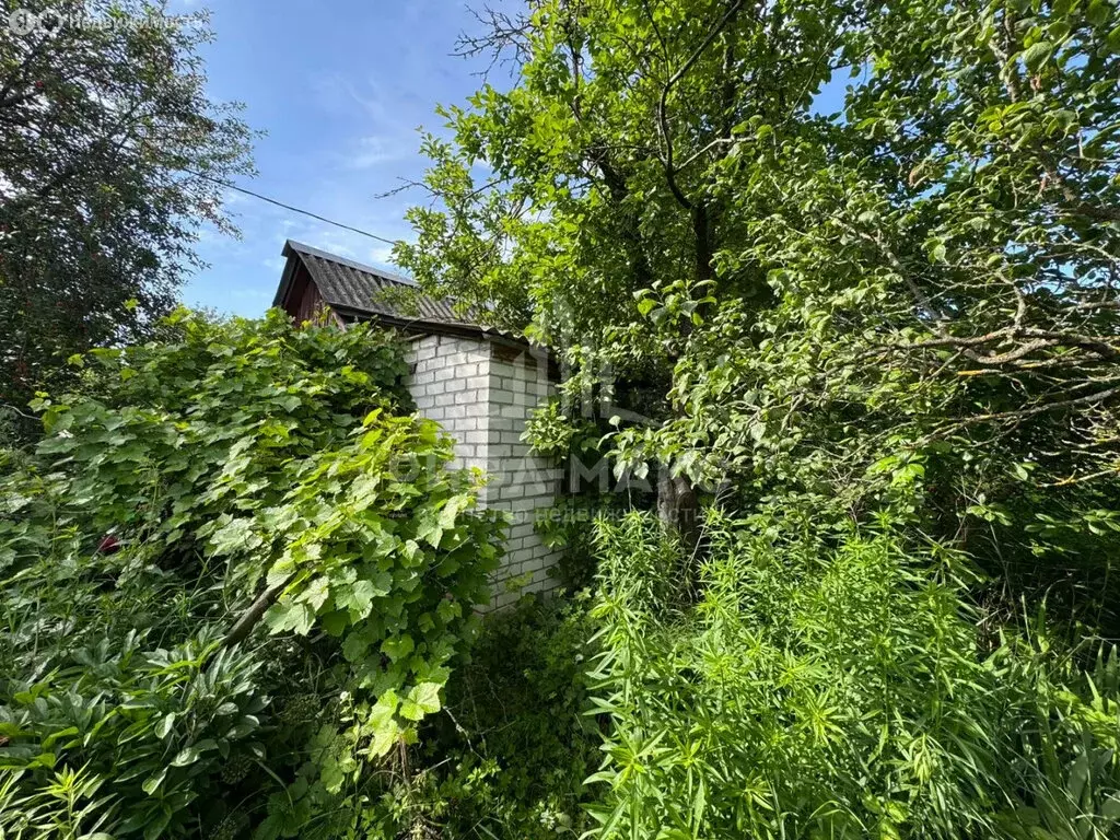 Дом в деревня Курнявцево, СДТ Нива, 43 (20 м) - Фото 1