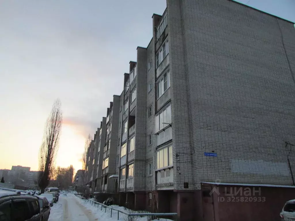 1-к кв. Липецкая область, Липецк ул. Студенческий Городок, 25 (29.7 м) - Фото 2