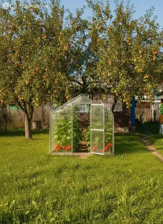 Дом в Златоуст, СНТ Часовщик (20 м) - Фото 1