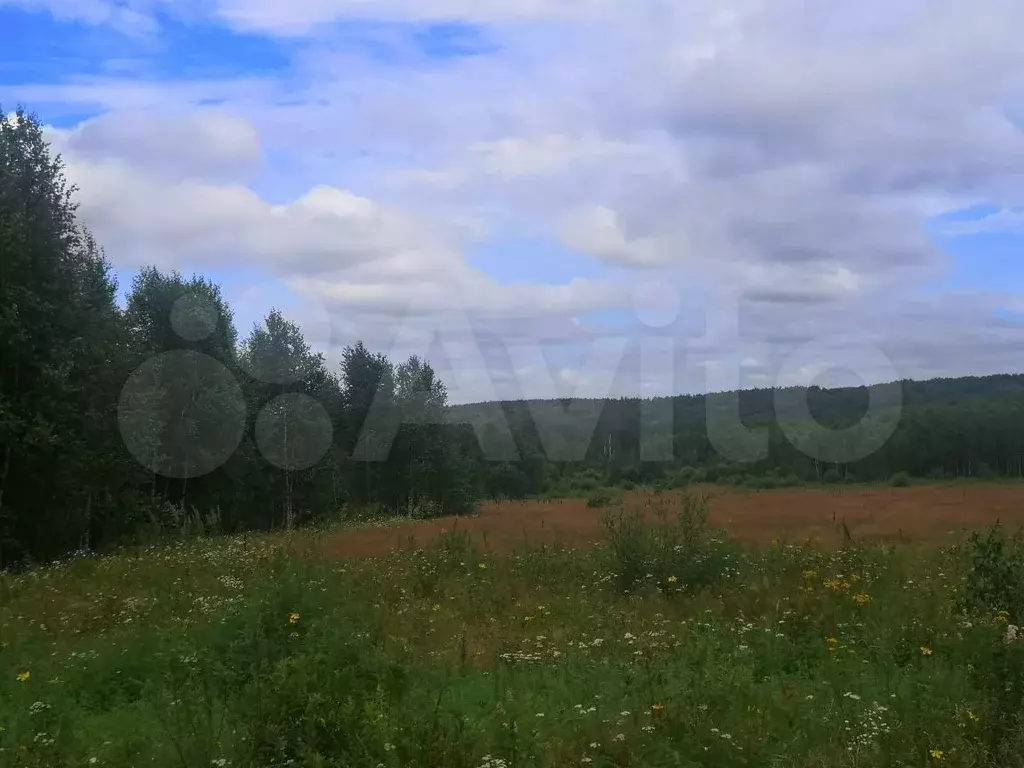 Участок 72,6 сот. (СНТ, ДНП) - Фото 0