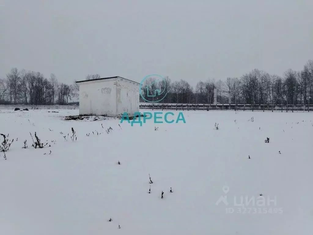 Участок в Белгородская область, Новооскольский муниципальный округ, ... - Фото 2