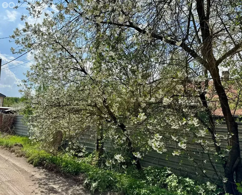Участок в Дедовск, Октябрьская улица, 9 (8.45 м) - Фото 2