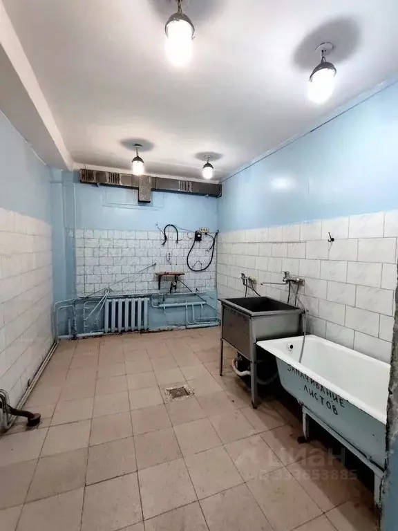 Помещение свободного назначения в Новосибирская область, Новосибирск ... - Фото 2