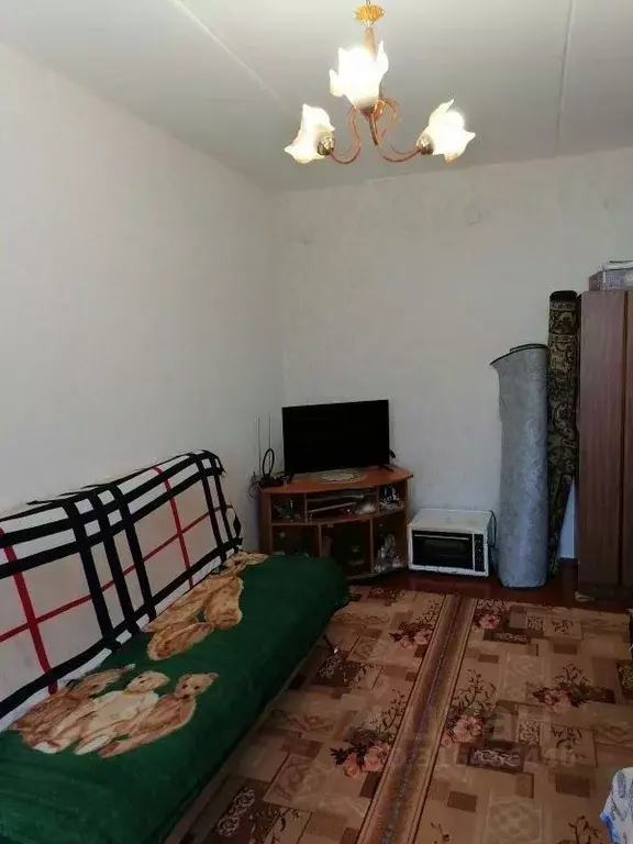1-к кв. Курганская область, с. Мокроусово ул. Советская, 40 (29.3 м) - Фото 0