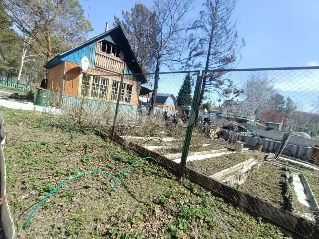 Дом в Новосибирская область, Тогучинский район, Вишня садовое ... - Фото 1