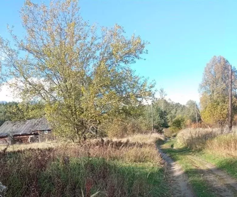 Участок в Тверская область, Кашинский муниципальный округ, д. Рагузино ... - Фото 2