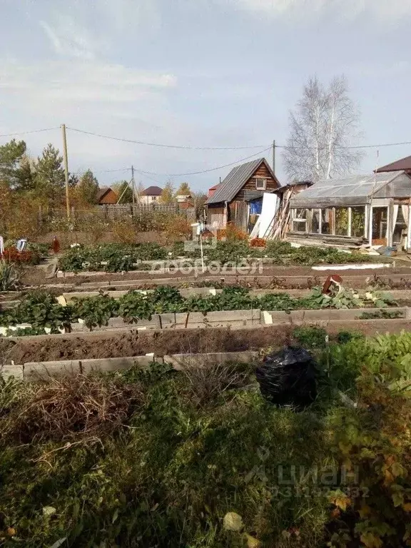 Участок в Свердловская область, Березовский городской округ, пос. ... - Фото 1