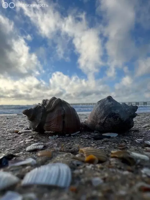 Участок в Краснодарский край, Анапа (6 м) - Фото 2