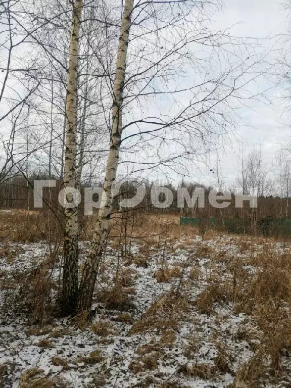 Продается участок в д. Лебзино - Фото 2