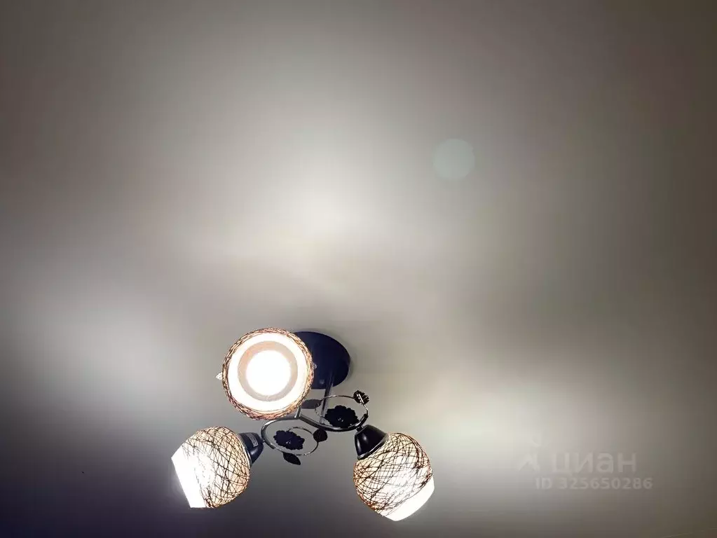 1-к кв. Новгородская область, Валдай ул. Энергетиков, 9 (30.2 м) - Фото 2