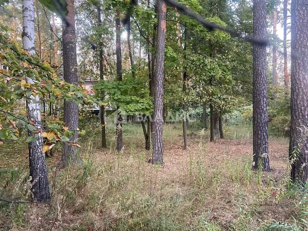 Участок в Московская область, Одинцовский городской округ, Серебряные ... - Фото 0