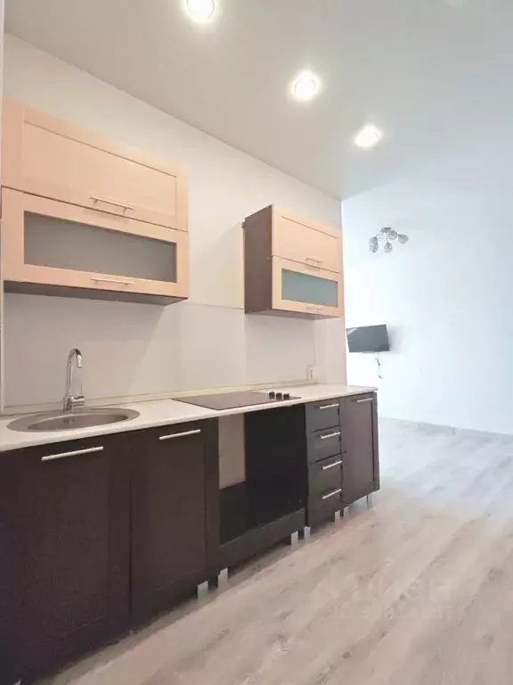 Студия Москва пос. Первомайское, ул. Центральная, 10 (26.0 м) - Фото 1