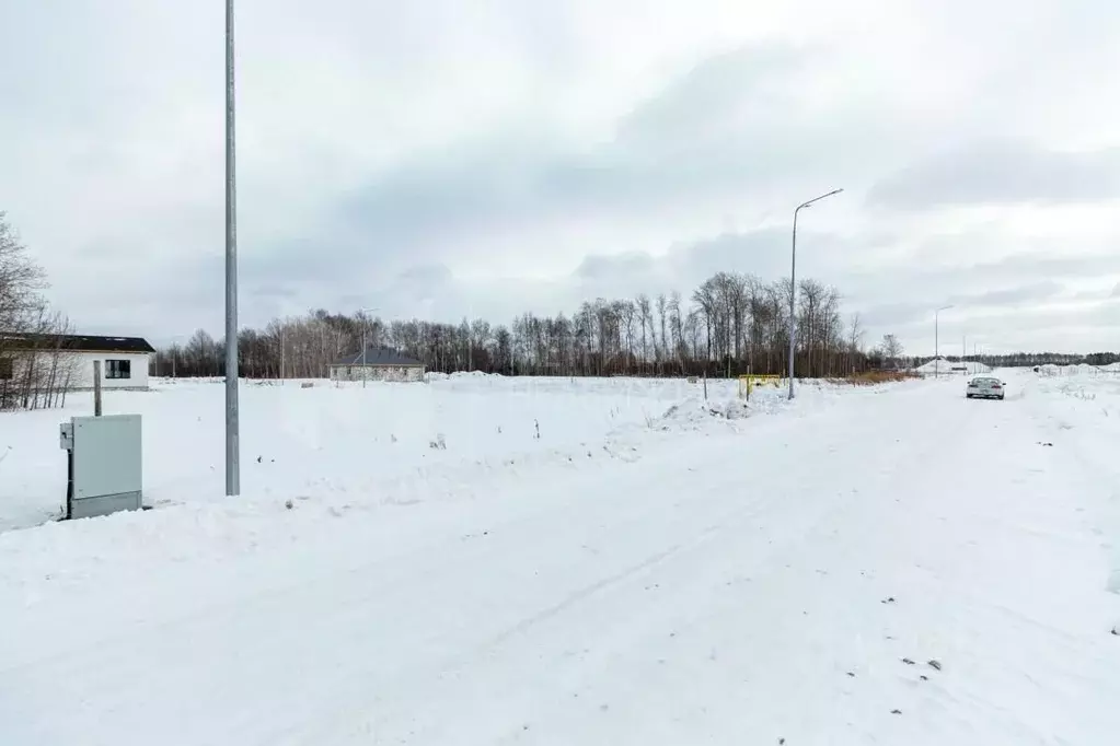 Участок в Тюменская область, Тюменский муниципальный округ, ... - Фото 2