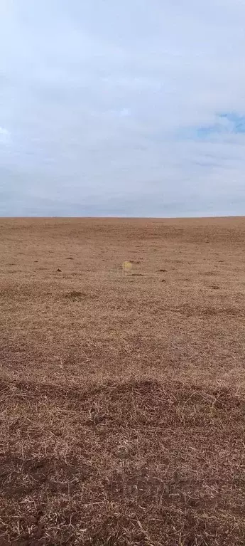 Участок в Иркутская область, Баяндаевский район, с. Тургеневка  ... - Фото 1
