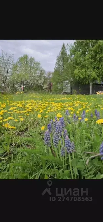 Дом в Башкортостан, Уфимский район, Дмитриевский сельсовет, Ромашка ... - Фото 2